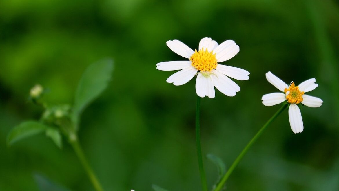 Skąd czerpać dobre emocje?